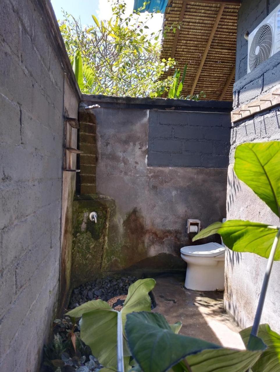 Caca Homestay Pemuteran Exterior foto
